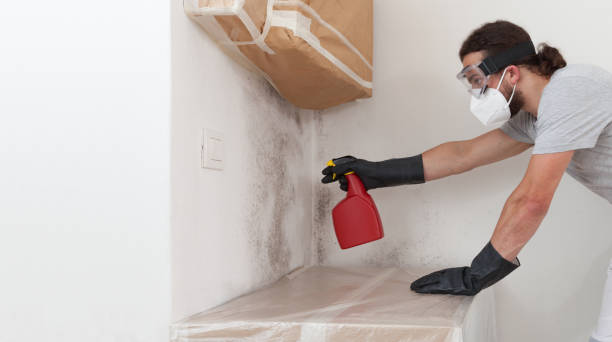 Professional Bathroom Mold Removal technician working in Beltsville, MD